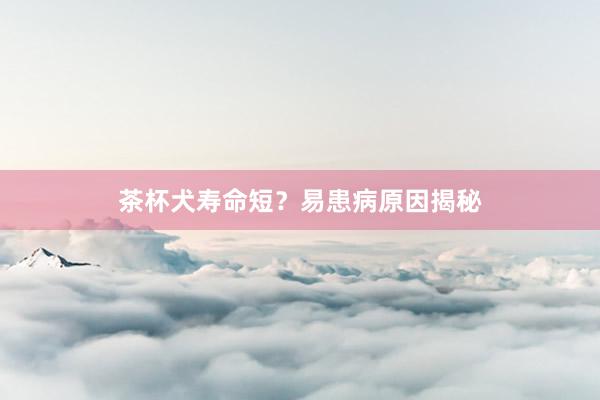 茶杯犬寿命短？易患病原因揭秘
